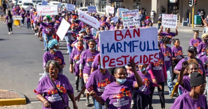 Farm workers marched in Worcester on Thursday, demanding an urgent ban on 67 pesticides used on farms. Photo: Ashraf Hendricks