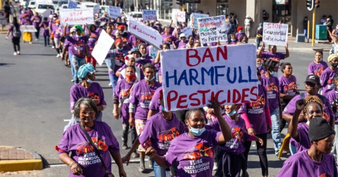 Ban-harmful-pesticides-South-Africa Farm workers marched in Worcester on Thursday, demanding an urgent ban on 67 pesticides used on farms. Photo: Ashraf Hendricks