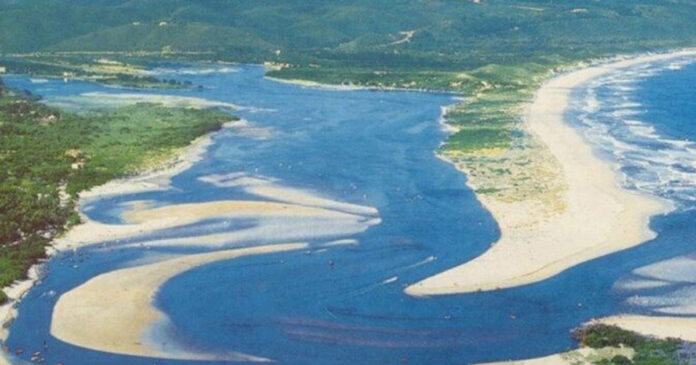 Keurbooms-River-Plettenberg-Bay-shark Keurbooms River, Plett, white shar