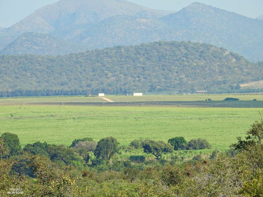 Relocation trucks on Riverside Farm. PHOTO: Bron Kotze