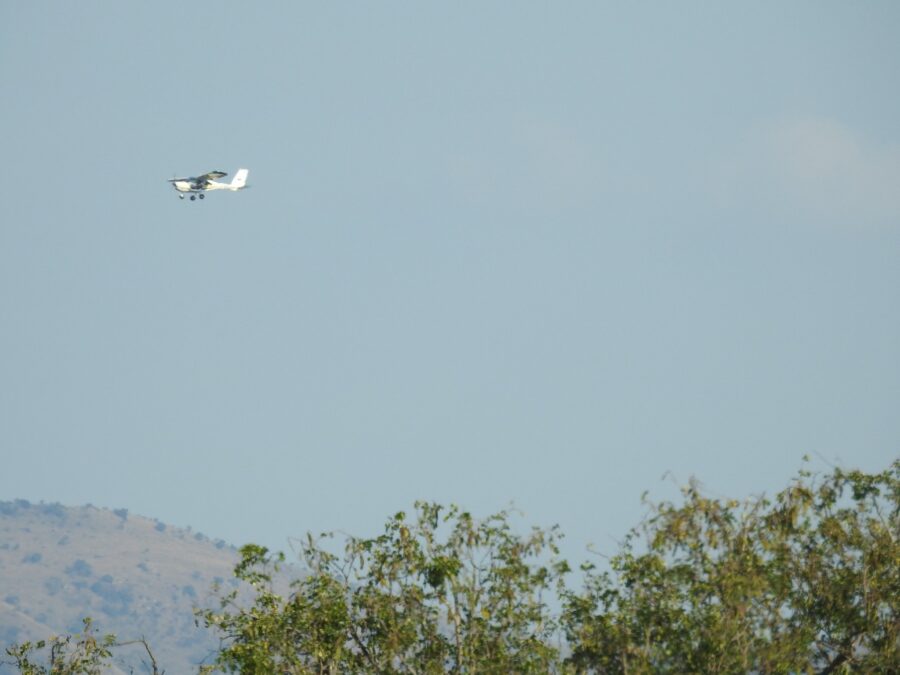SANParks bantam aircraft doing an aerial search over the area. After a lengthy search, he moved out, and the SANParks helicopter moved in to continue...