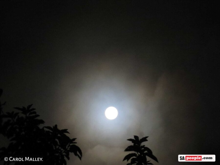 Total Eclipse of the Moon and Super Blood Moon, Visible Across South Africa
