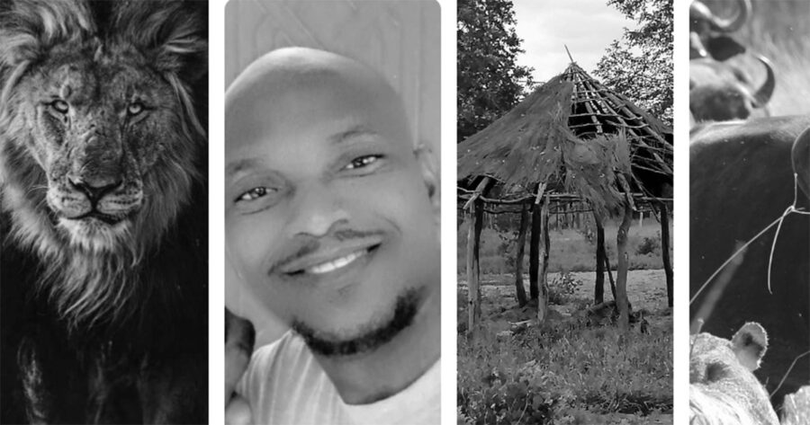 Safari Guide Recalls Terrifying Night His Uncle Was Taken by Starving Lion - SAPeople - Worldwide South African News Safari Guide Recalls Terrifying Night His Uncle Was Taken by Starving Lion - SAPeople - Worldwide South African News