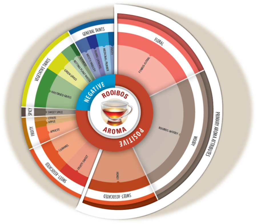 rooibos flavour wheel