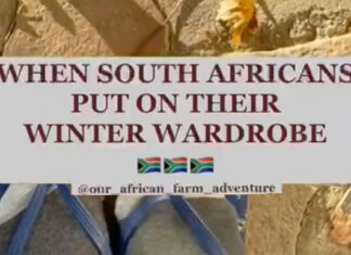 WATCH Hilarious and Typical South African Winter Wardrobe