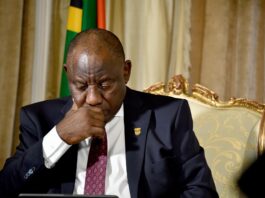 DA welcomes Public Protector’s subpoena of Ramaphosa over Phala Phala theft