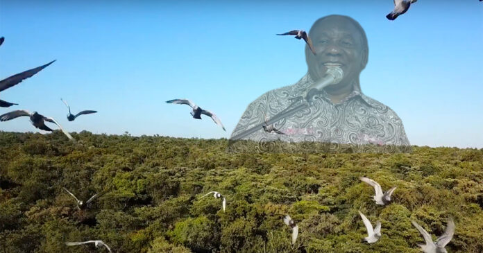 Cyril-Ramaphosa-pigeon-racing Investigate Ramaphosa's Pigeon-Racing Operation, Urges PETA