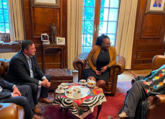 3 Steps Proposed to Fix Consular Services for South Africans Living Abroad
