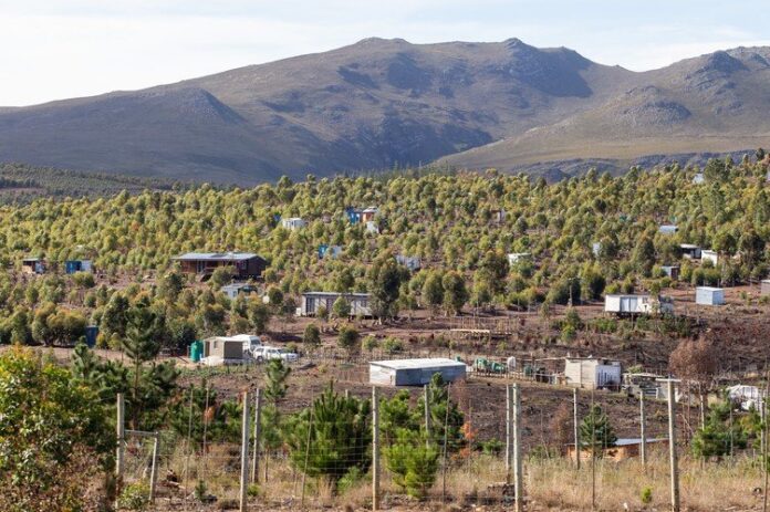 Khoisan Orania First occupied in November 2020 in order to establish a self-sustaining “sovereign Khoisan community”, Knoflokskraal near Grabouw in the Western Cape is home to thousands of people.