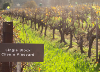 French Give Green Light for Global Wine Conference in SA