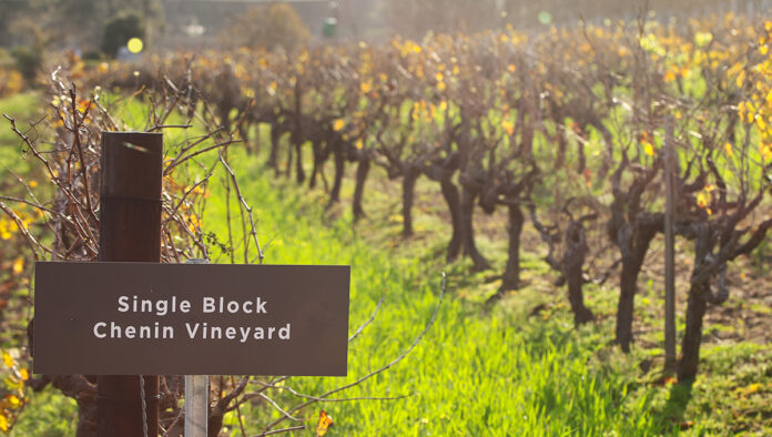 L'Avenir-vineyard French Give Green Light for Global Wine Conference in SA
