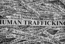 Brothers in Court After 39 Human Trafficking Victims Rescued from Mpumalanga Farm