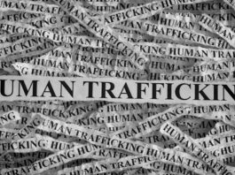 Brothers in Court After 39 Human Trafficking Victims Rescued from Mpumalanga Farm