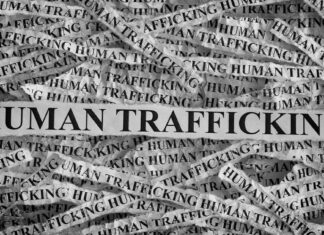 Brothers in Court After 39 Human Trafficking Victims Rescued from Mpumalanga Farm