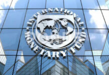 Treasury Notes IMF SA Economy Assessment