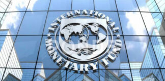 Treasury Notes IMF SA Economy Assessment