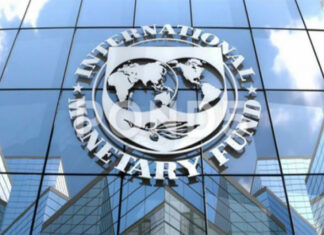 Treasury Notes IMF SA Economy Assessment