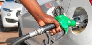 fuel prices update SA