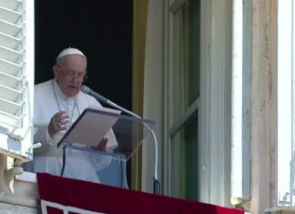 Pope apologies for having to cancel Africa trip