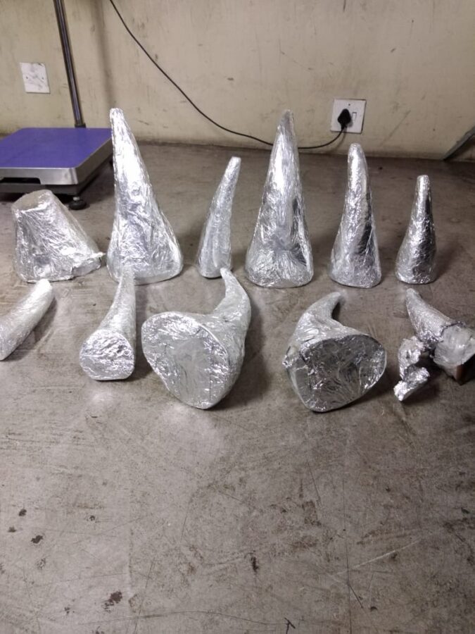 rhino horn pieces