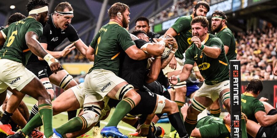 Frans Steyn is back in the Bok squad after missing the series against Wales.