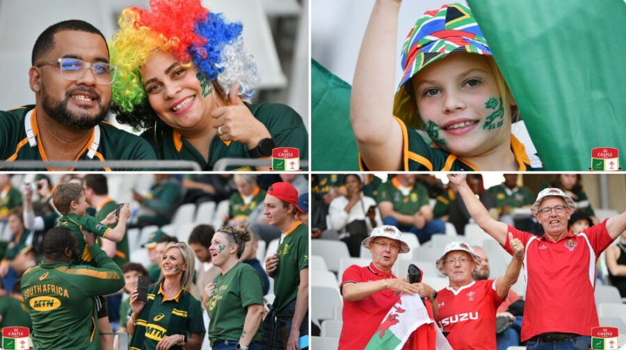 Springbok-fans-Wales-fans