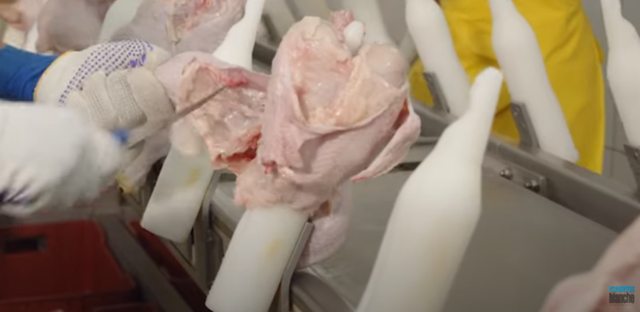 chicken dump carte blanche