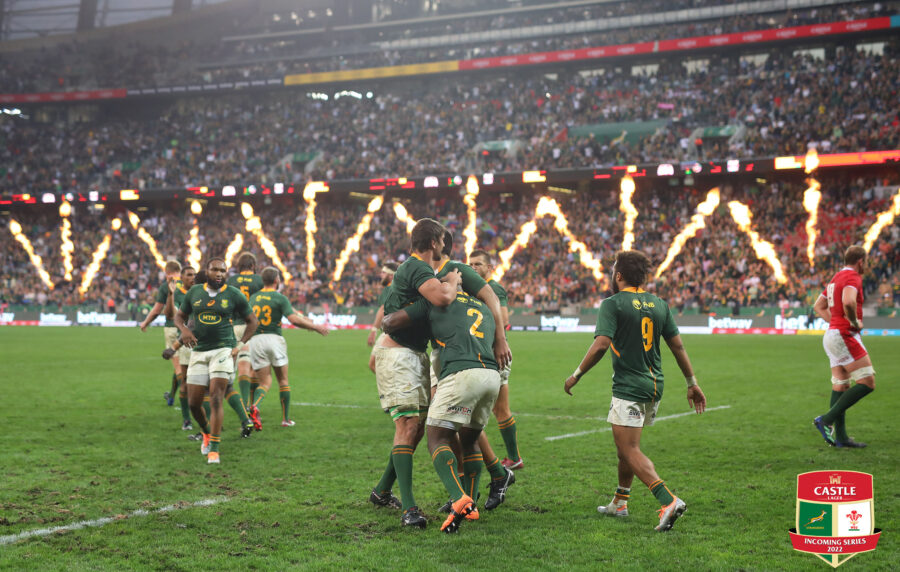 Springboks Lead Against Wales at Half Time