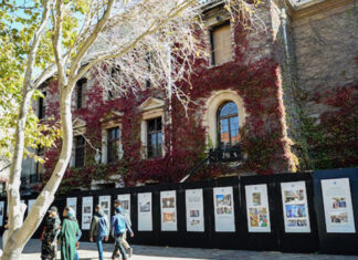 Restoring UCT’s burnt archives will take years
