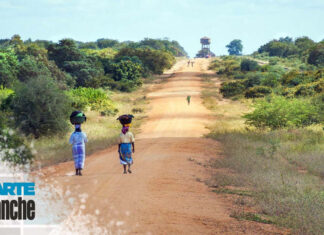 mayhem in mozambique carte blanche
