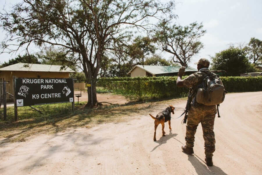 paws-and-boots-fighting-poaching