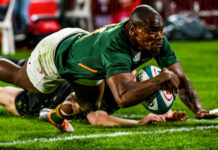 makazole mapimpi springboks
