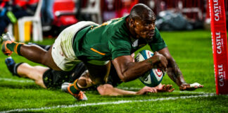 makazole mapimpi springboks