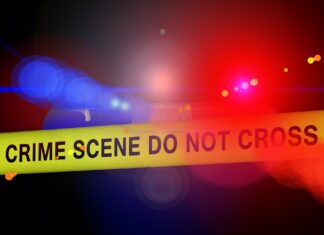 Woman Killed in Alleged Farm Attack Near Olifantshoek