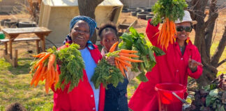 Refiloe Molefe has vowed to build a new urban farm after the City of Johannesburg bulldozed the site she built in Bertrams. Video: Adel Van Niekerk