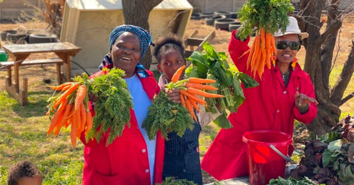 mama-fifi-urban-farm-south-africa Refiloe Molefe has vowed to build a new urban farm after the City of Johannesburg bulldozed the site she built in Bertrams. Video: Adel Van Niekerk