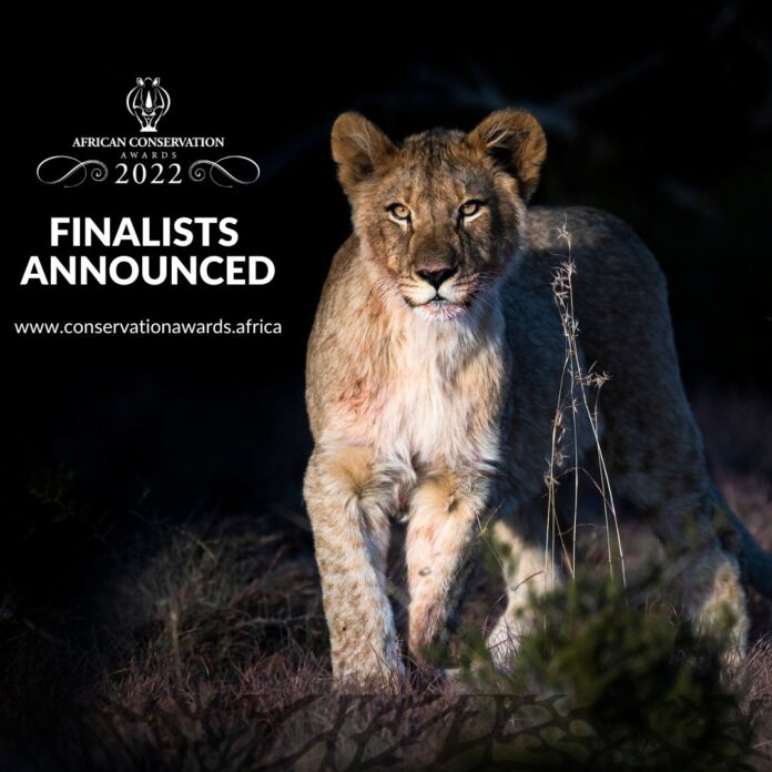 African Conservation Awards