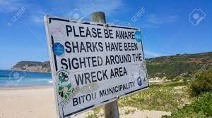 Plett Shark Attack: Cape Town Woman Killed by Great White Shark in Plettenberg Bay