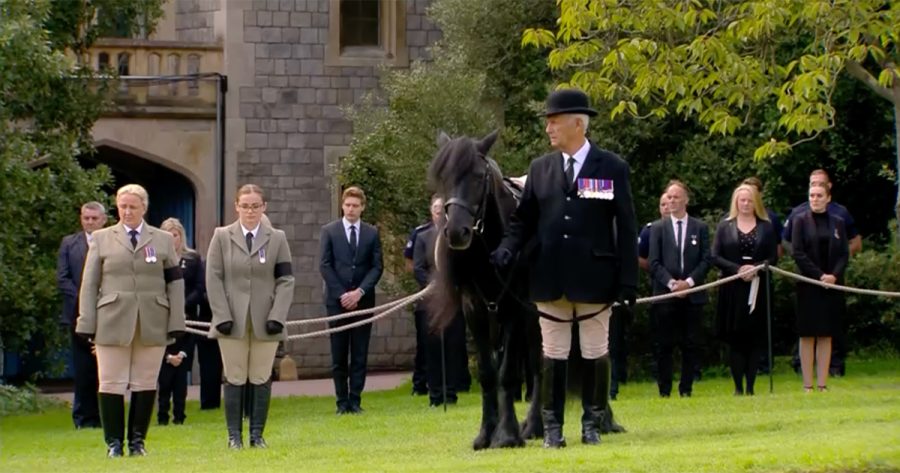 Queen Elizabeth's black pony Emma watched the monarch's funeral procession pass by in the grounds of Windsor Castle, where she was held on a lead by a groomsman