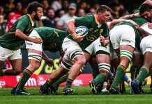 Springboks Win Against Argentina, Sliding Into Second Place in Rugby Championship
