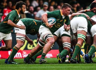 Springboks Win Against Argentina, Sliding Into Second Place in Rugby Championship