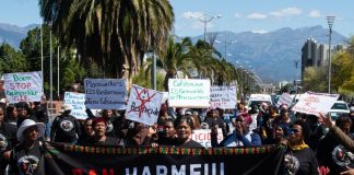 Farm women marched in Worcester in the Western Cape against the use of harmful pesticides. Photos: Liezl Human