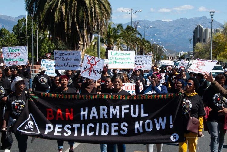 Farm women marched in Worcester in the Western Cape against the use of harmful pesticides. Photos: Liezl Human