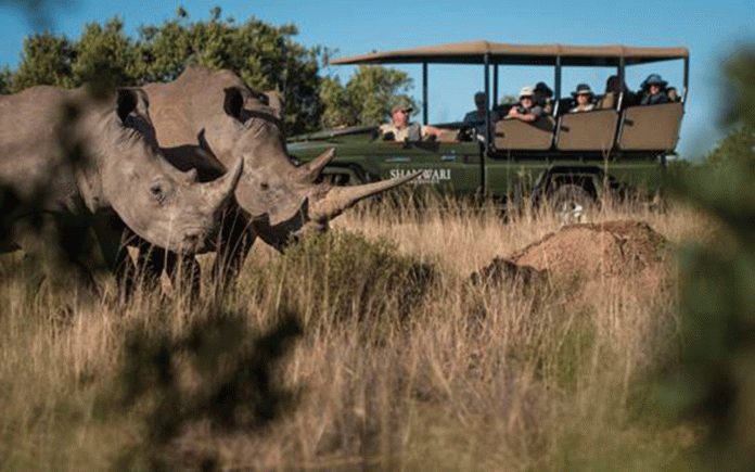 Conserving rhinos is about more than just stopping poachers