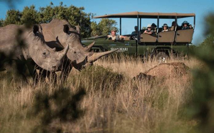 Saving Rhinos is About More Than Just Stopping Poachers Conserving rhinos is about more than just stopping poachers