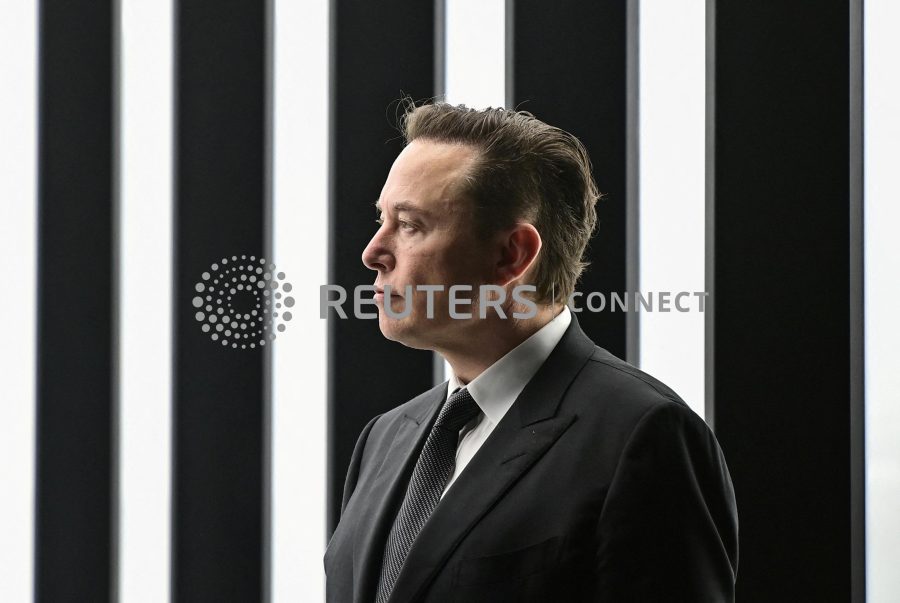 Elon Musk South African expat