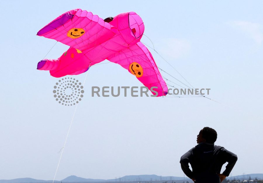 Kite enthusiasts fly their colourful kites during the Cape Town Kite Festival