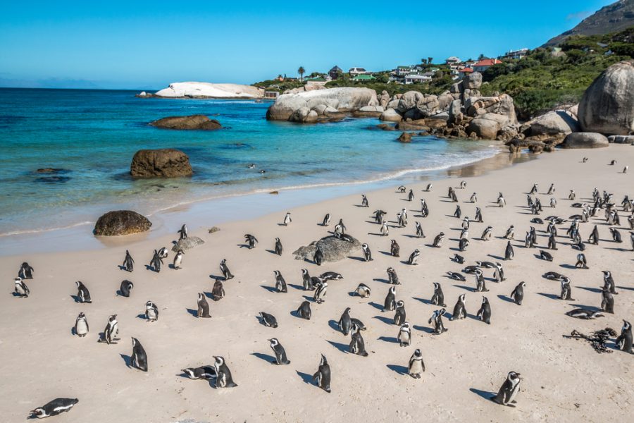 South Africa Beach Destinations for 2022