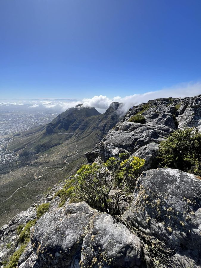 Firefighting Season Starts with Fire on Table Mountain