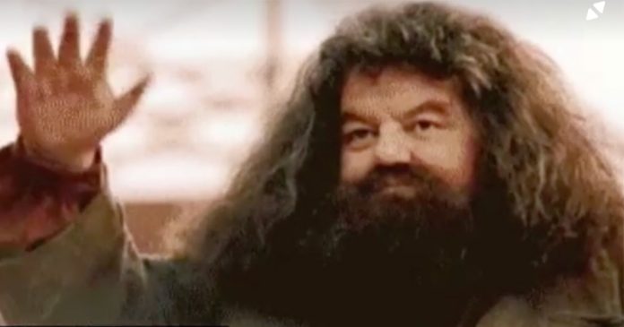 Harry Potter Star Robbie Coltrane - AKA Hagrid - Passes Away at 72
